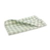 Botanical Check Decorative Pillow Cover