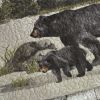 Bear Panels UCC 2PC Twin Quilt Set
