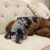 Plush Knit (Coffee) Throw