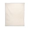 Antique Winter Throw Blanket